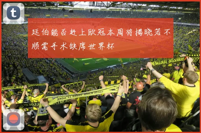 廷伯能否赶上欧冠本周将揭晓若不顺需手术缺席世界杯
