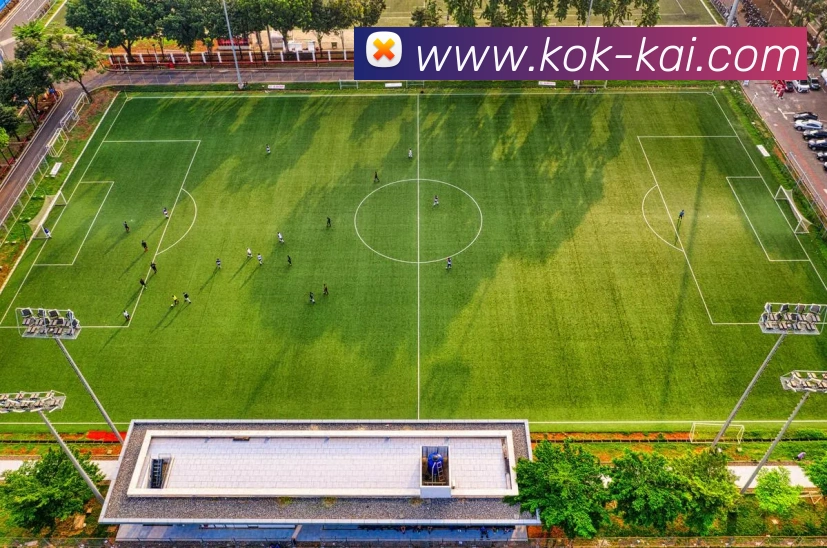 KOK体育平台生态图